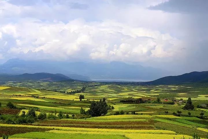 麗江·我們宿約，融入當?shù)氐奈幕罡腥久總€人