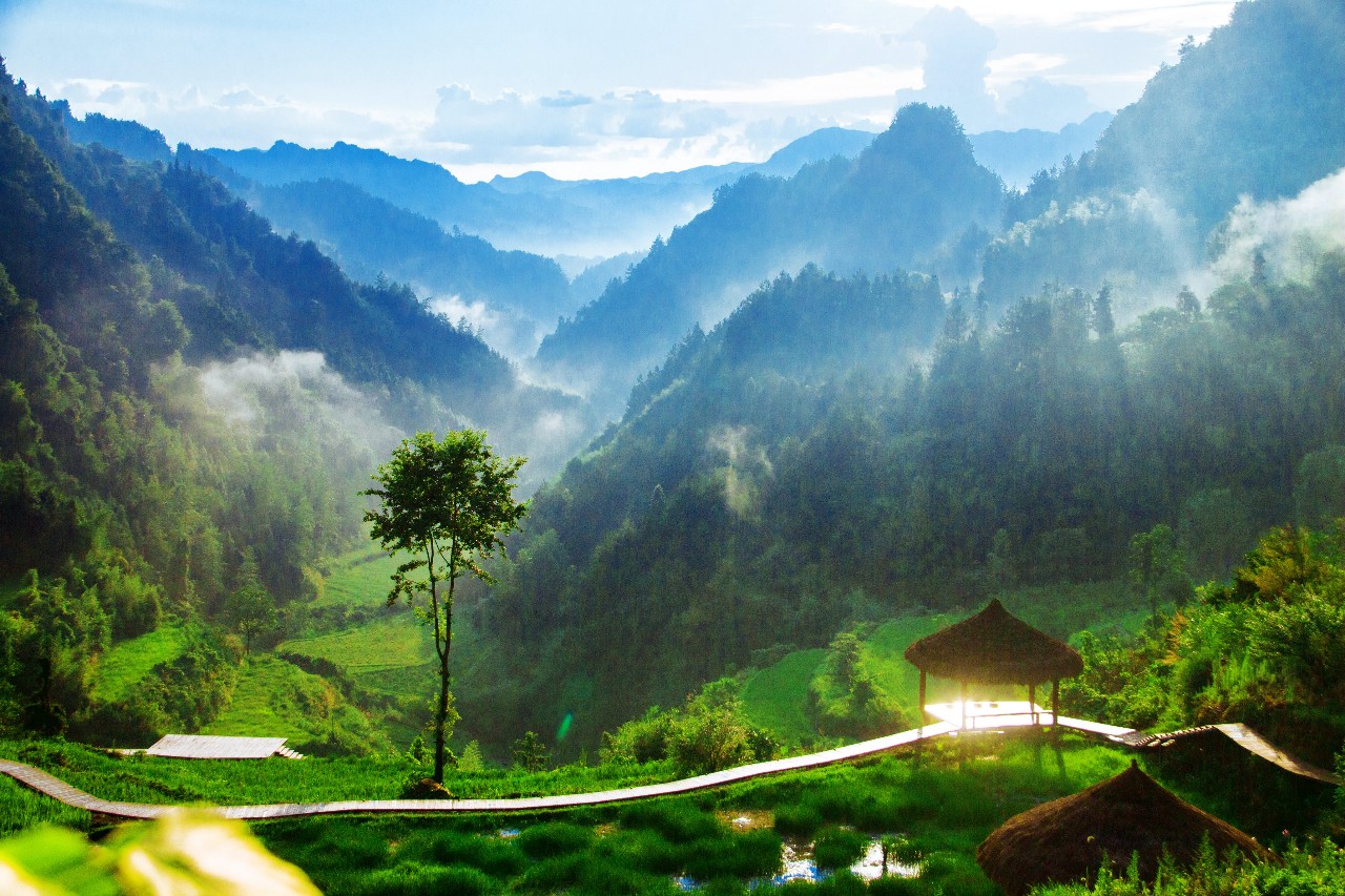 張家界·五號山谷，山谷在重生！