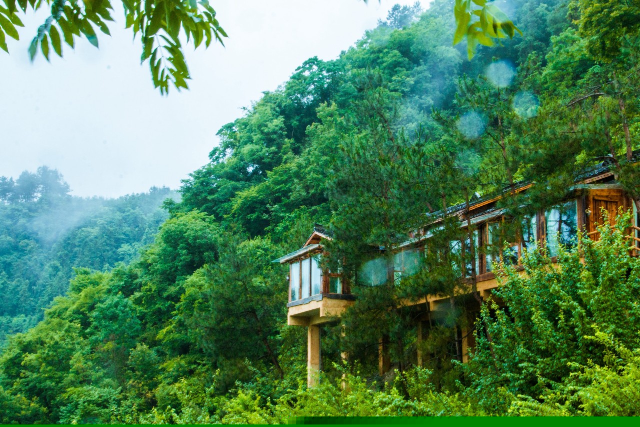 張家界·五號山谷，山谷在重生！