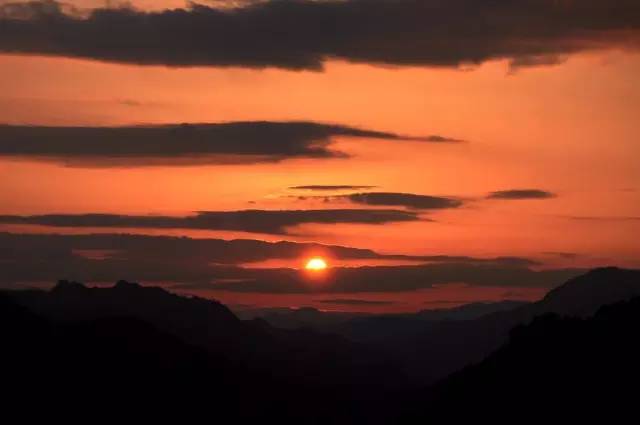 張家界·五號山谷，山谷在重生！