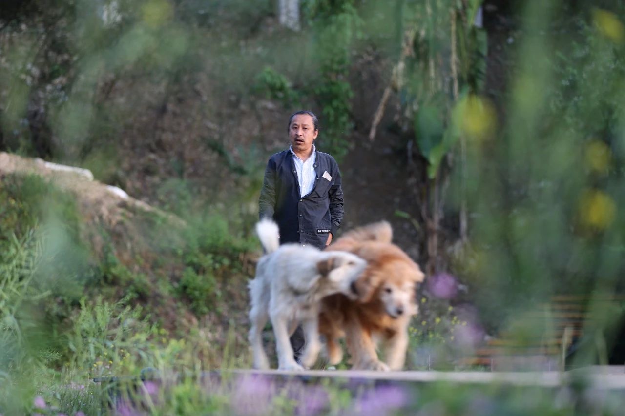 張家界·五號山谷，山谷在重生！