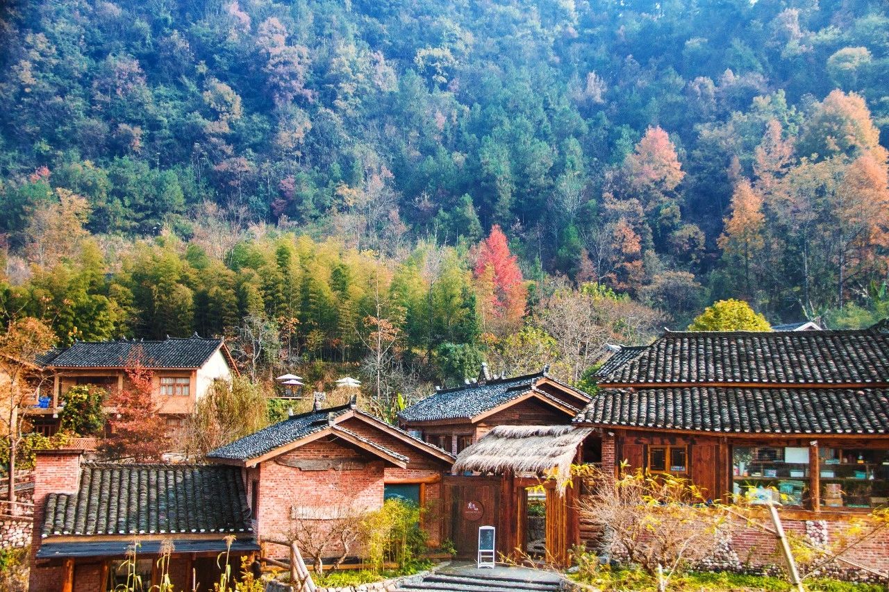 張家界·五號山谷，山谷在重生！