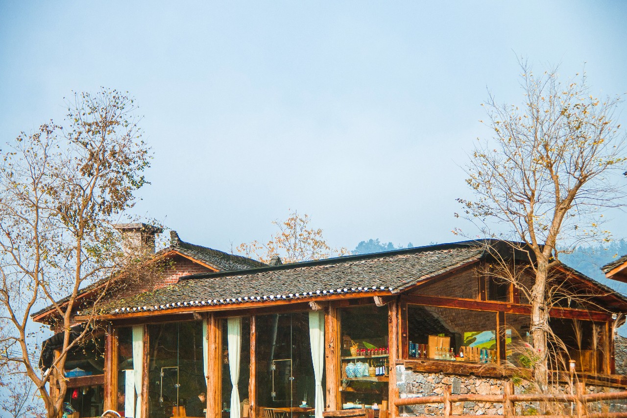 張家界·五號山谷，山谷在重生！