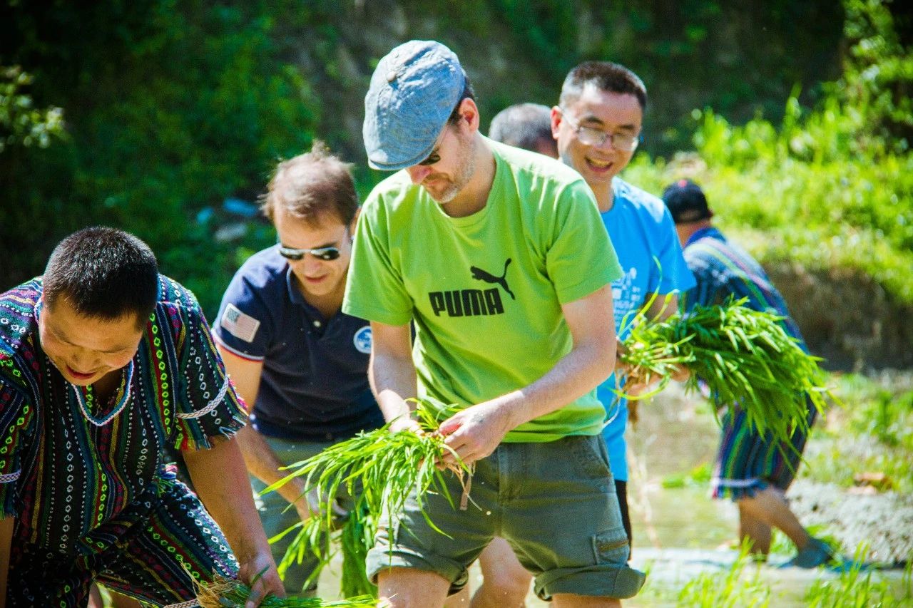 張家界·五號山谷，山谷在重生！