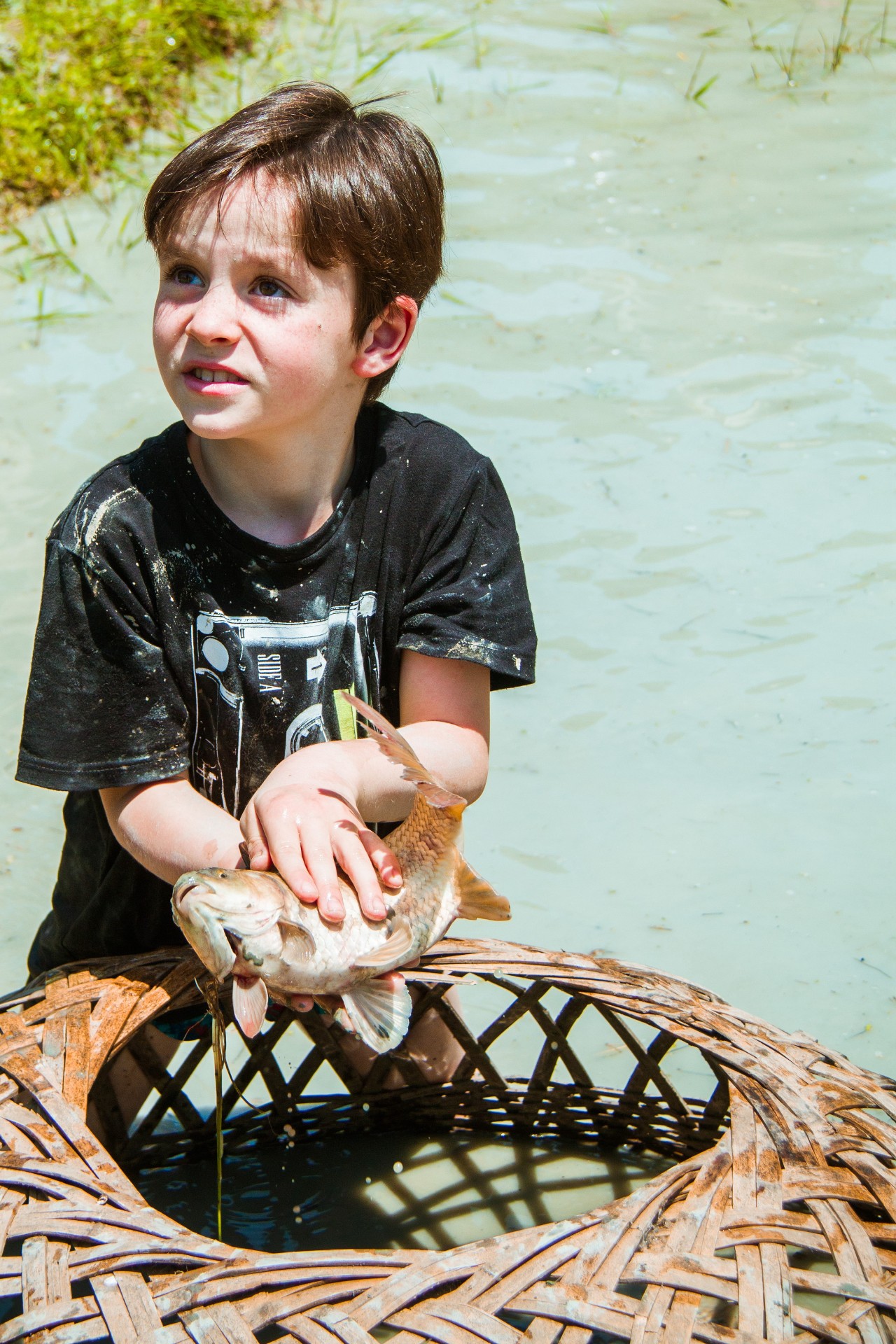 張家界·五號山谷，山谷在重生！