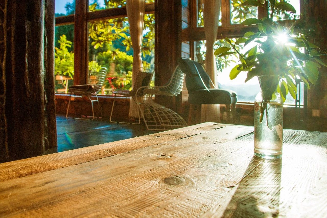 張家界·五號山谷，山谷在重生！