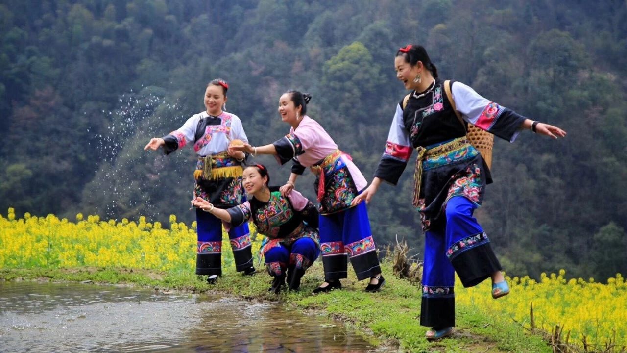 張家界·五號山谷，山谷在重生！