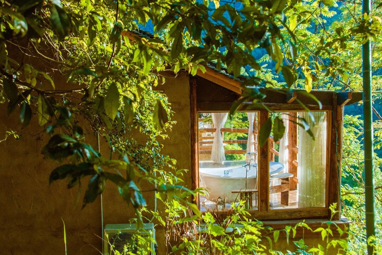 張家界·五號山谷，山谷在重生！