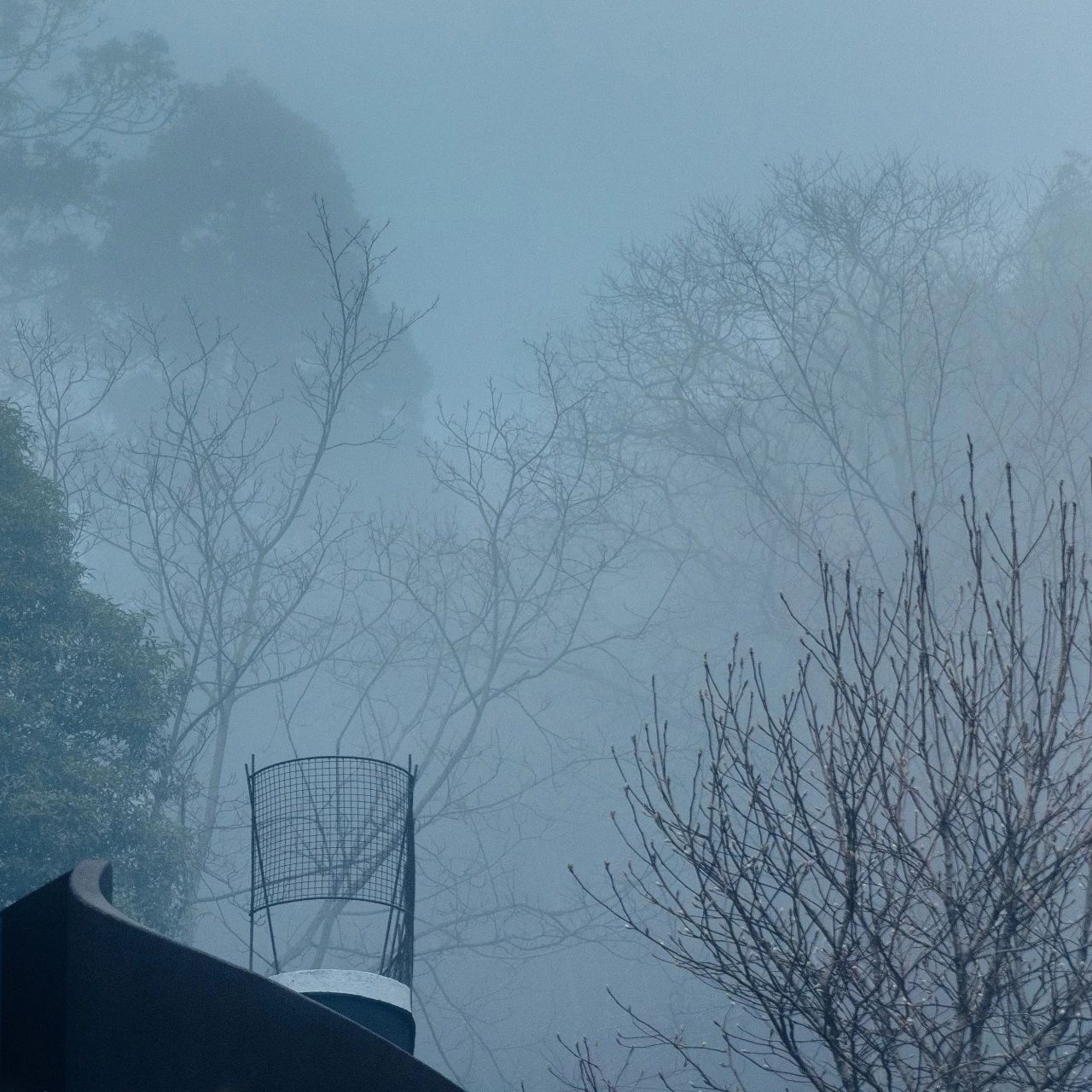 臨安·余來，讓生活重啟