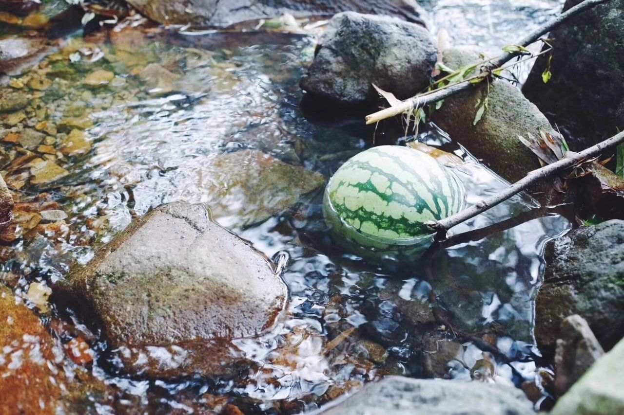 臨安·余來，讓生活重啟