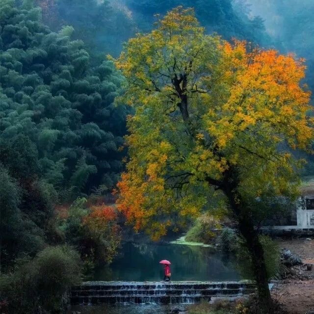 金華·村尚村宿，認(rèn)識(shí)自然尋回久違的童真