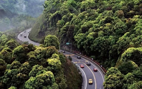 金華·村尚村宿，認(rèn)識(shí)自然尋回久違的童真