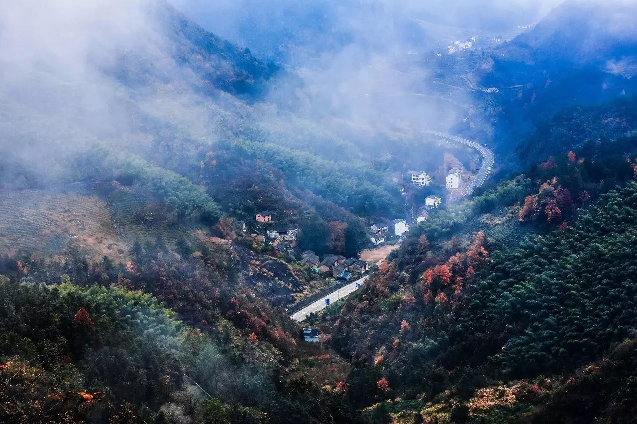 金華·村尚村宿，認(rèn)識(shí)自然尋回久違的童真