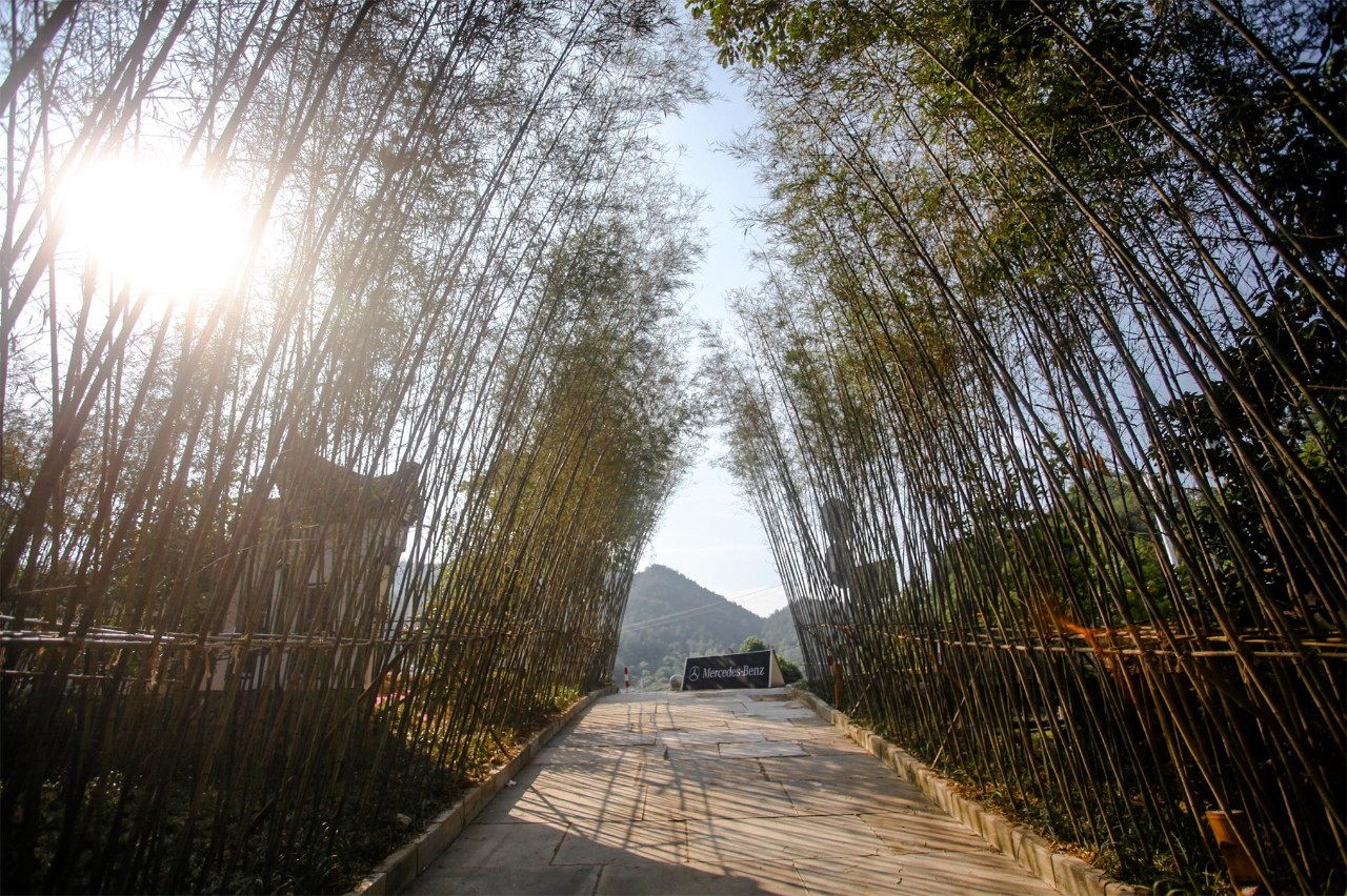 金華·村尚村宿，認(rèn)識(shí)自然尋回久違的童真