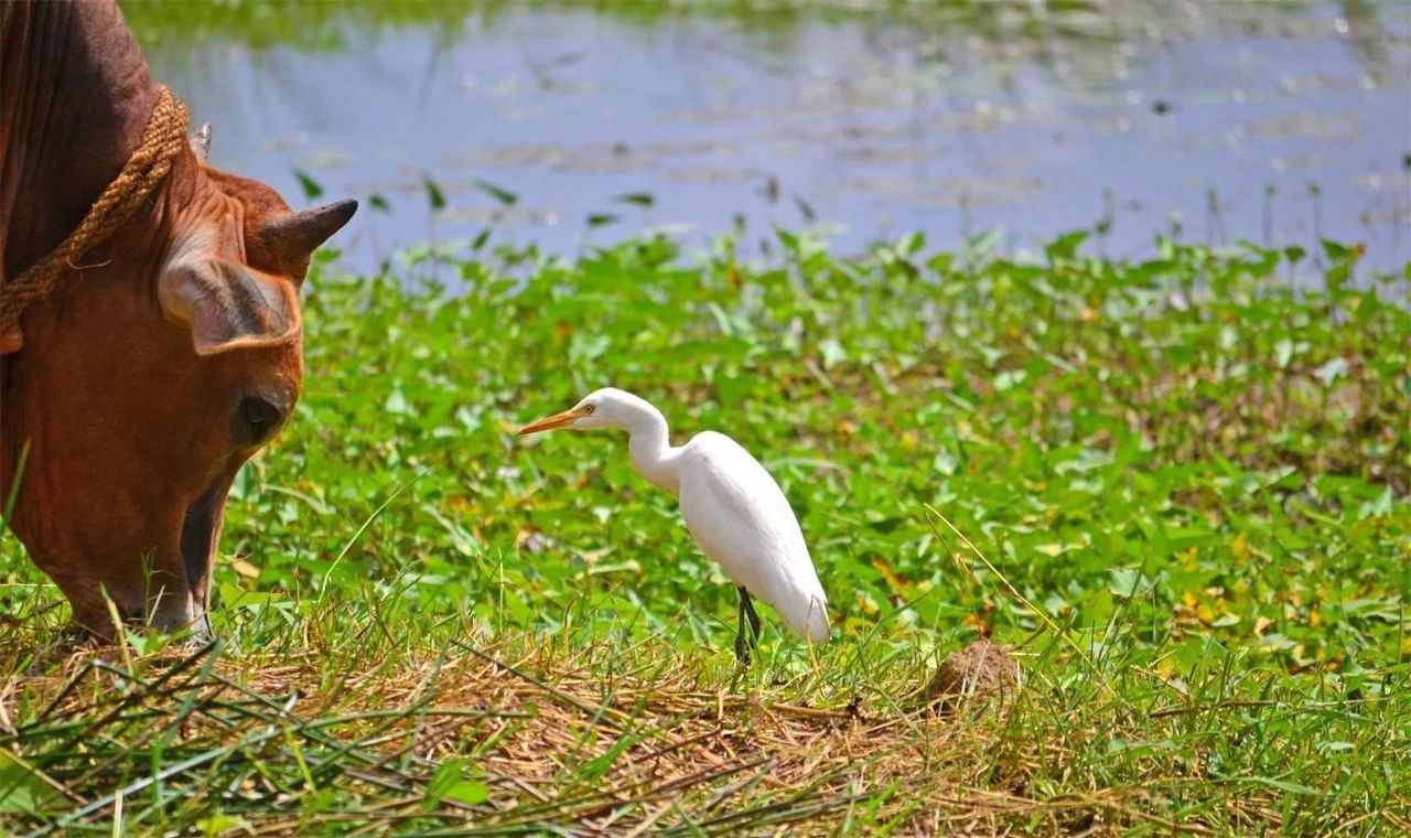 金華·村尚村宿，認(rèn)識(shí)自然尋回久違的童真