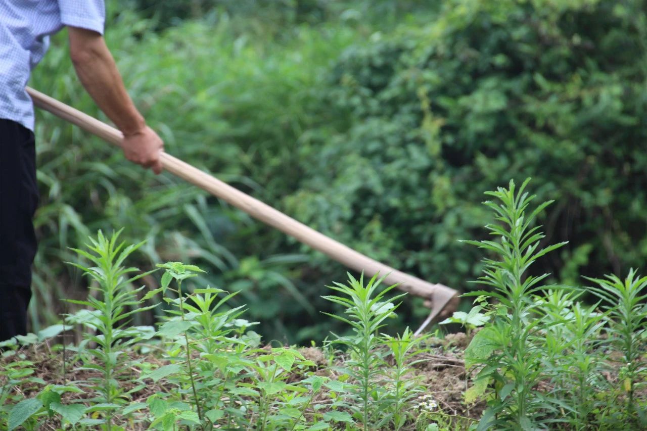 金華·村尚村宿，認(rèn)識(shí)自然尋回久違的童真