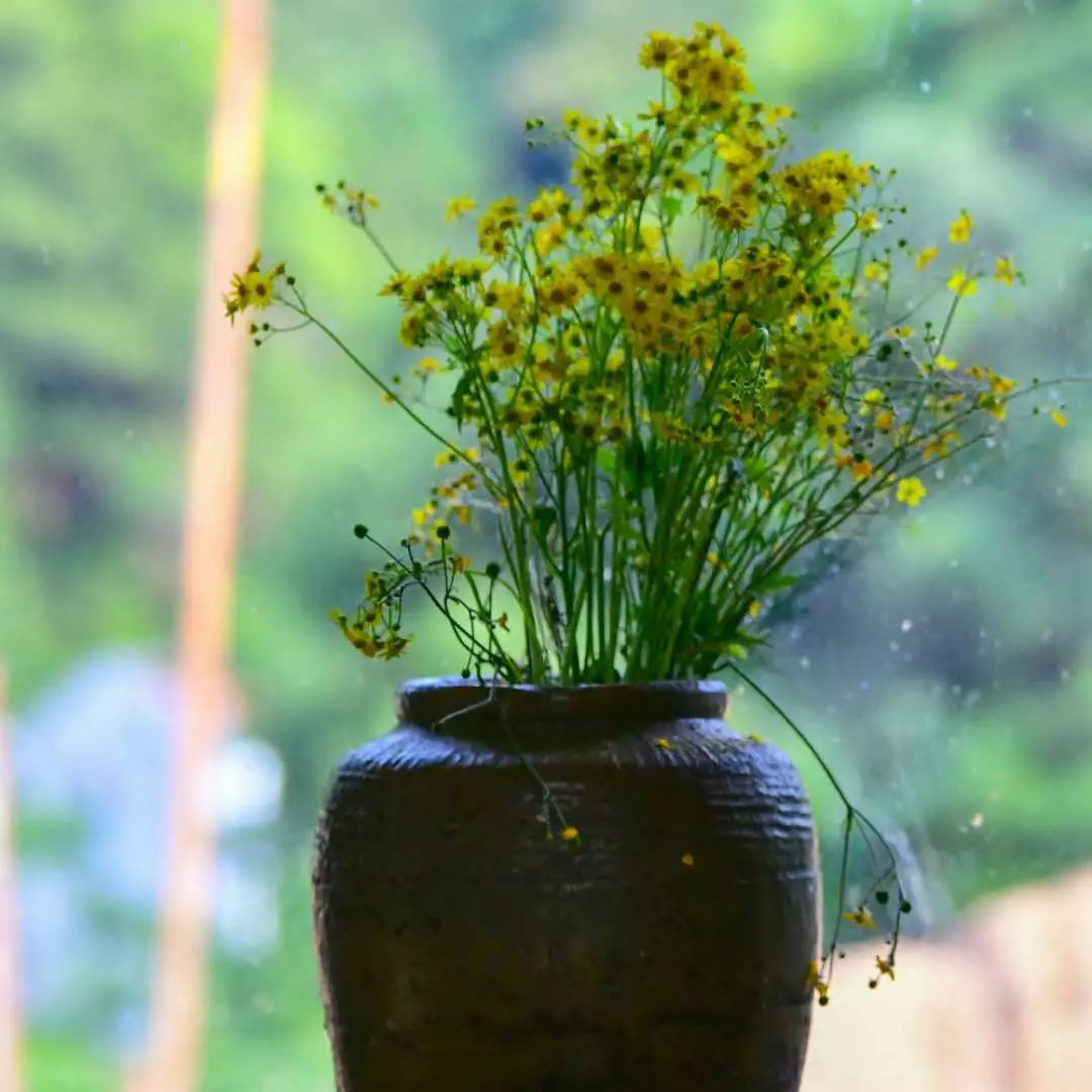 金華·村尚村宿，認(rèn)識(shí)自然尋回久違的童真