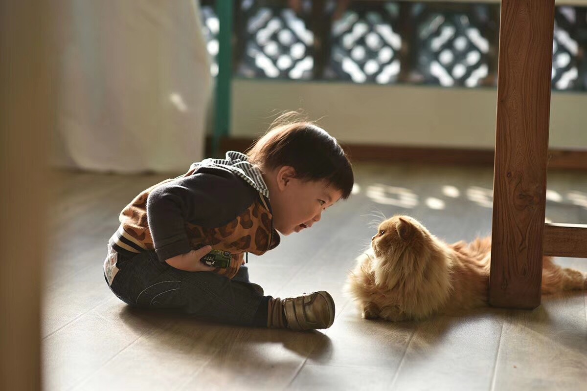 覺園1984，創(chuàng)造一個時空錯亂的夢境