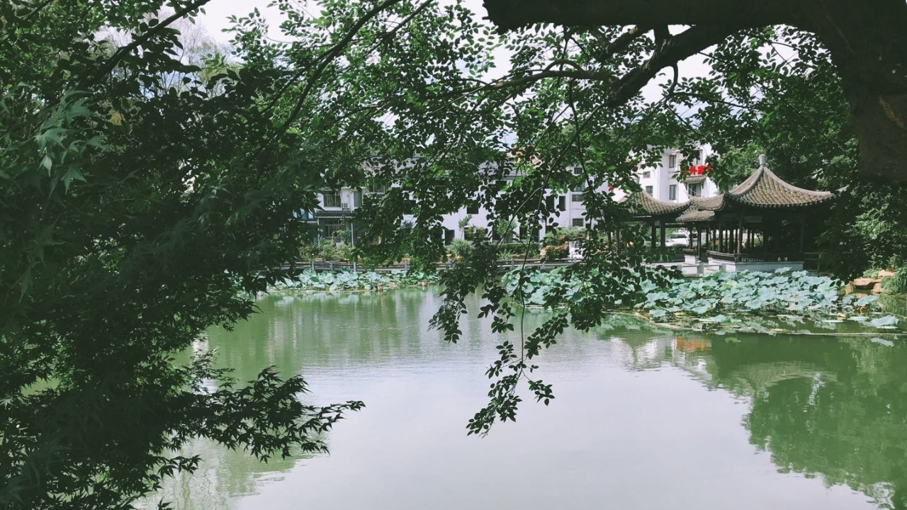 杭州·茶田秘境，有生之年盡情去折騰