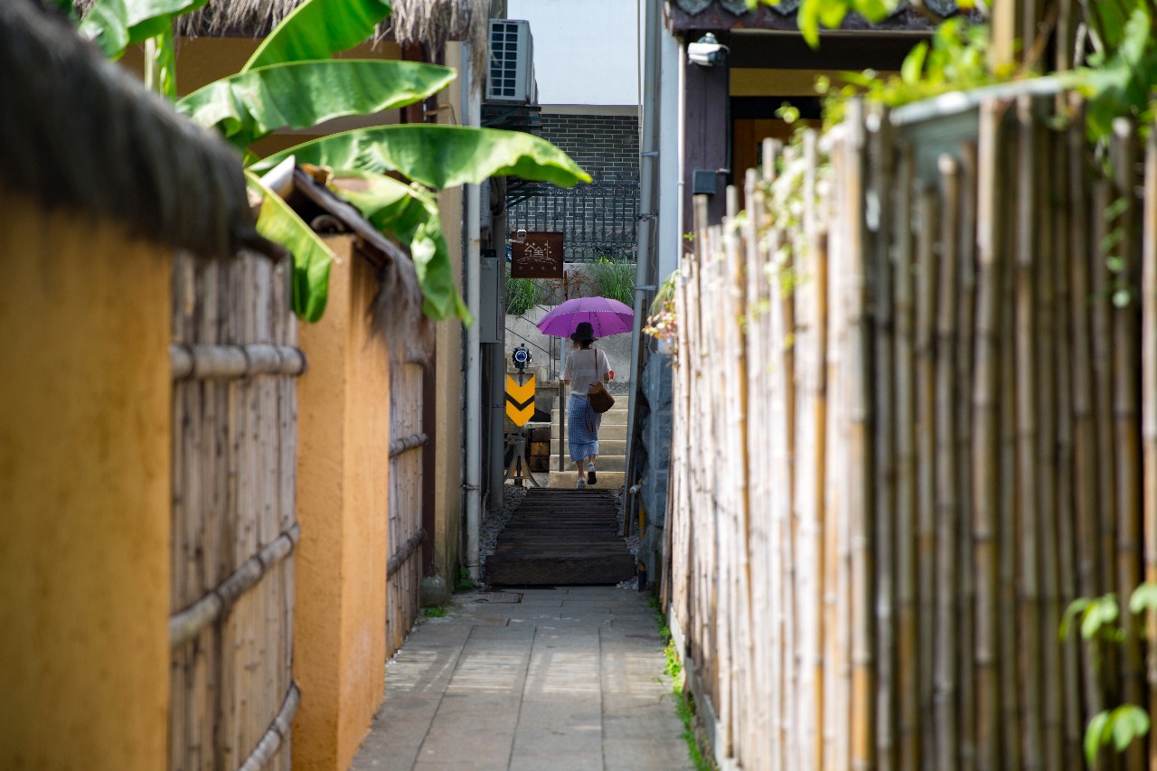 杭州·茶田秘境，有生之年盡情去折騰