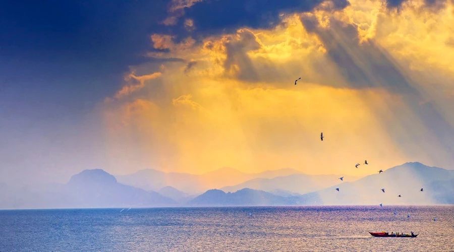 杭州·茶田秘境，有生之年盡情去折騰