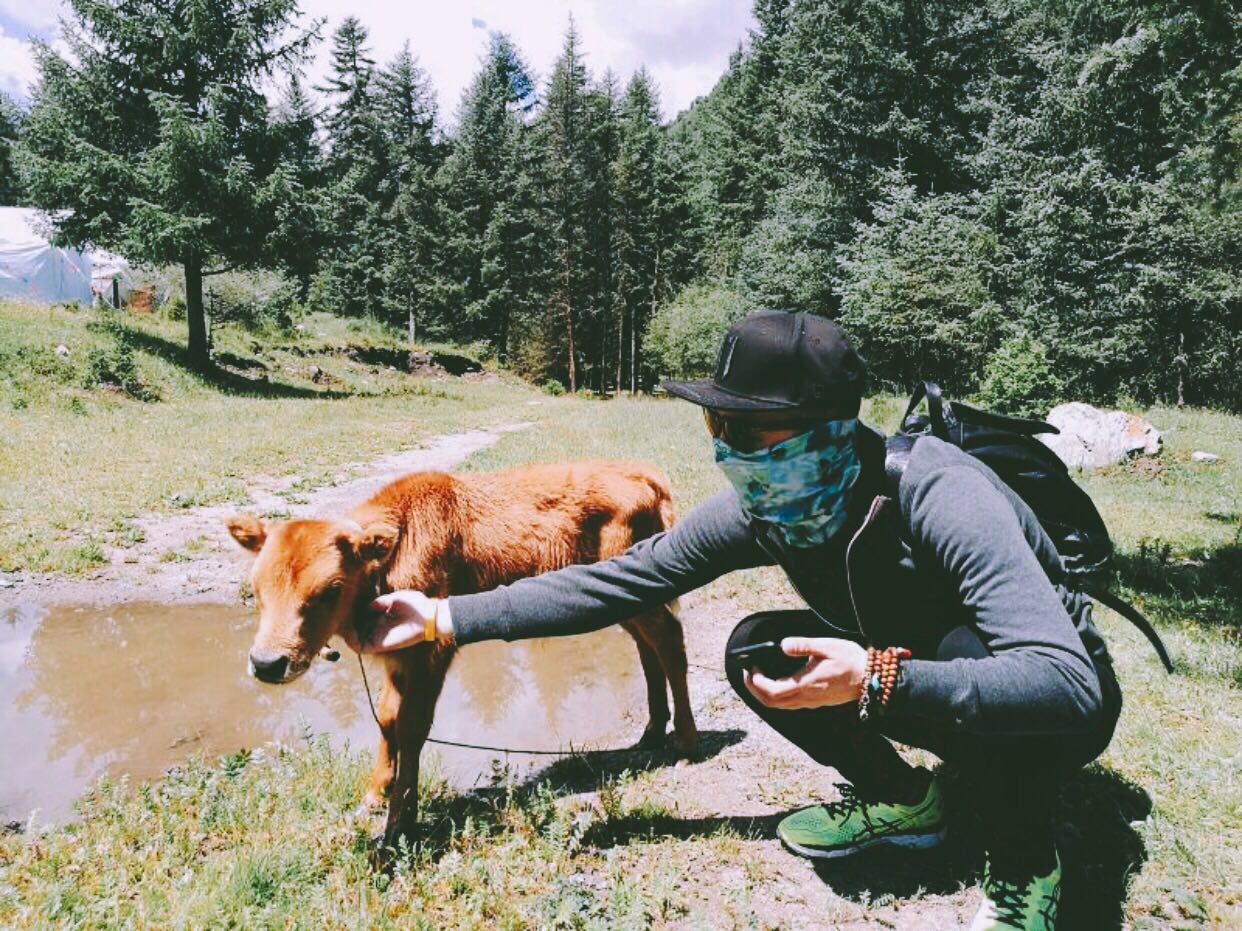 杭州·茶田秘境，有生之年盡情去折騰