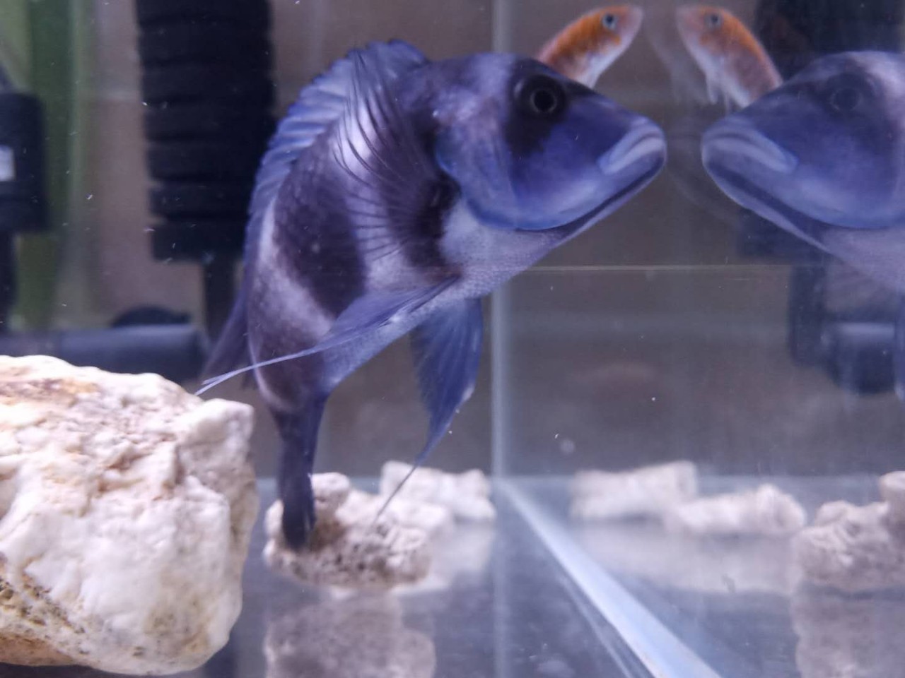 杭州·茶田秘境，有生之年盡情去折騰