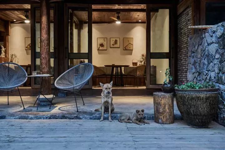 溫州·外水良藝境，一家溫州最美民宿之一