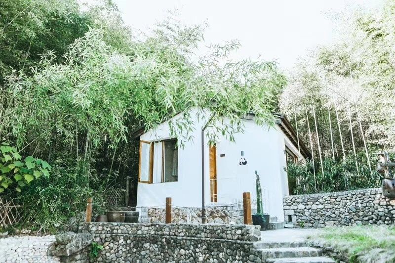 莫干山·柒竹悠南山，安靜的世外桃源