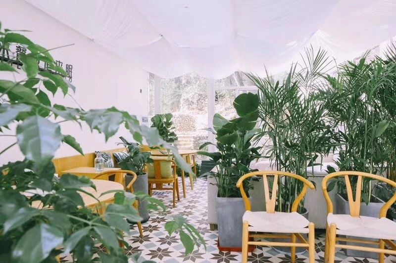 莫干山·柒竹悠南山，安靜的世外桃源