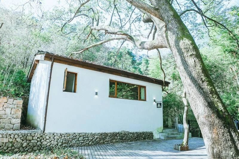 莫干山·柒竹悠南山，安靜的世外桃源