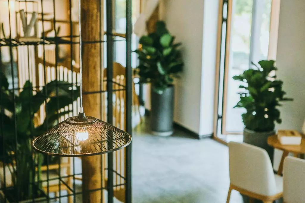 莫干山·柒竹悠南山，安靜的世外桃源