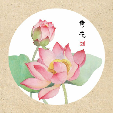 清新古風(fēng)花卉插畫，可作頭像的花卉插畫圖片