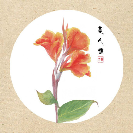 清新古風(fēng)花卉插畫，可作頭像的花卉插畫圖片