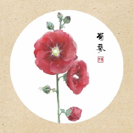 清新古風(fēng)花卉插畫，可作頭像的花卉插畫圖片