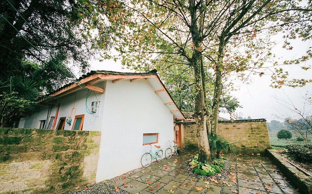 一所茶園里的民宿，過著鄉(xiāng)下悠閑愜意的日子