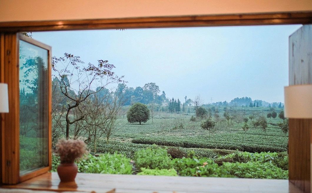 一所茶園里的民宿，過著鄉(xiāng)下悠閑愜意的日子