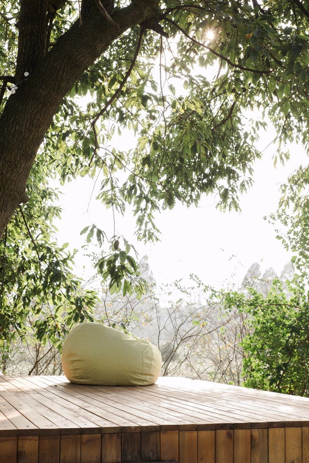 一所茶園里的民宿，過著鄉(xiāng)下悠閑愜意的日子