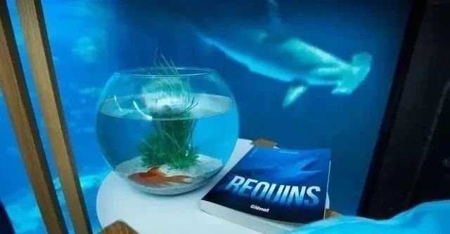 奇屋一夜民宿設(shè)計(jì)集合，把民宿開在了長(zhǎng)城上