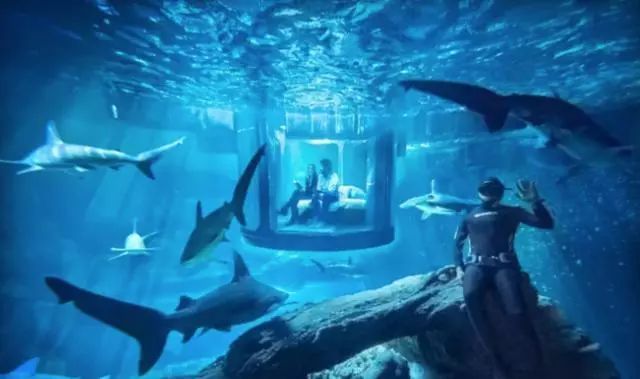 奇屋一夜民宿設(shè)計(jì)集合，把民宿開在了長(zhǎng)城上