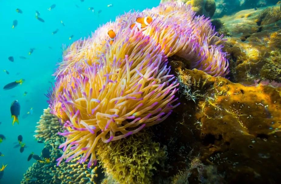 奇屋一夜民宿設(shè)計(jì)集合，把民宿開在了長(zhǎng)城上