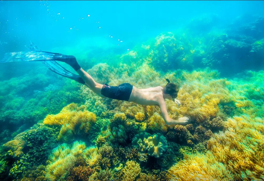 奇屋一夜民宿設(shè)計(jì)集合，把民宿開在了長(zhǎng)城上