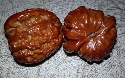 如何辨別真假核桃？五招辨別真假的方法