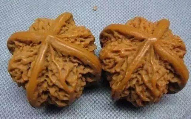 如何辨別真假核桃？五招辨別真假的方法