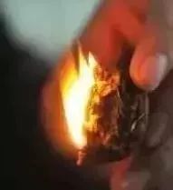 如何辨別真假核桃？五招辨別真假的方法