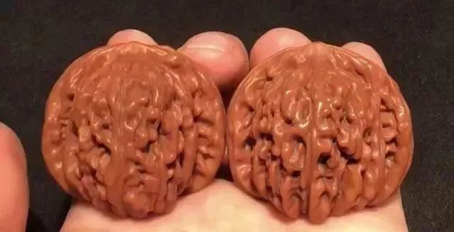 如何辨別真假核桃？五招辨別真假的方法