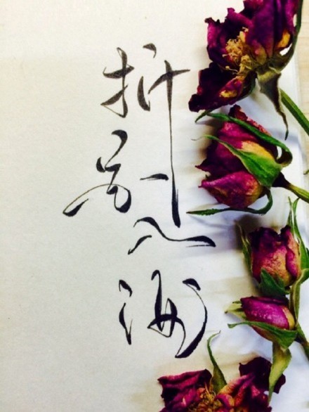 別致新穎的書法字體，美的很有意境！