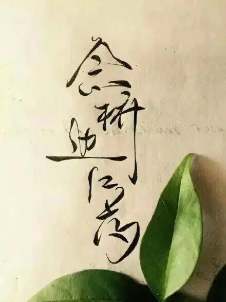 別致新穎的書法字體，美的很有意境！