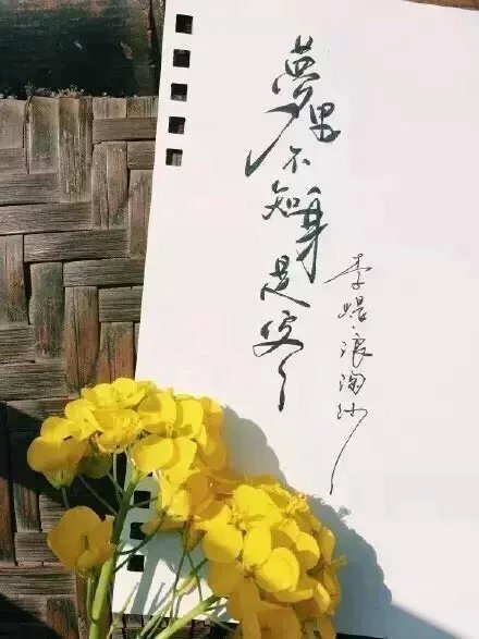 別致新穎的書法字體，美的很有意境！