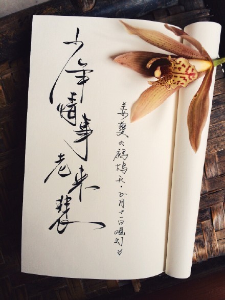 別致新穎的書法字體，美的很有意境！